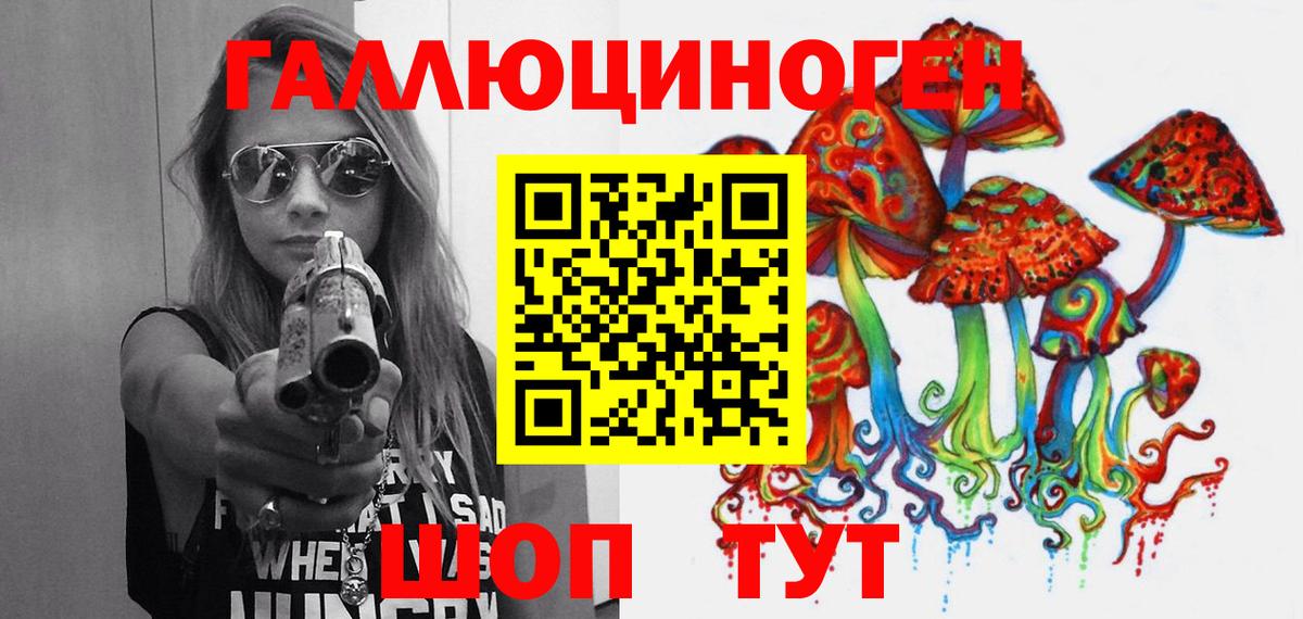 Добрянка  Галлюциногенные грибы Psilocybine cubensis  Вход с VPN 